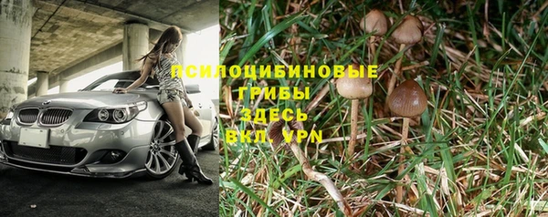 гидропоника Богородск