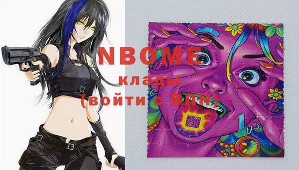 ешки Бородино