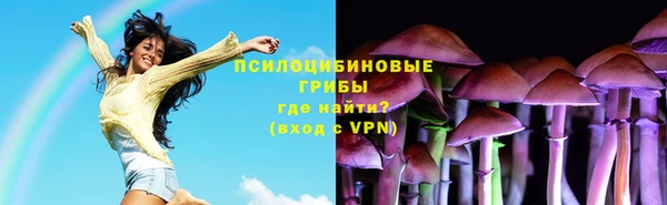 героин Богданович