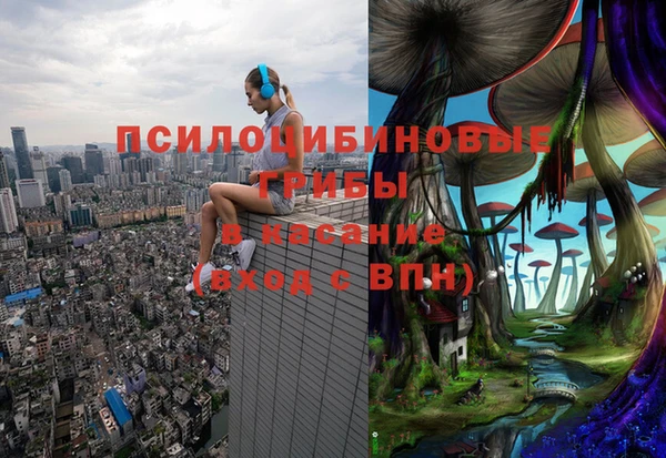 хмурый Бронницы