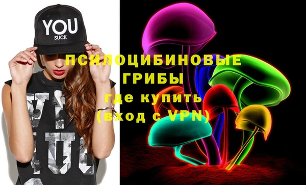 бутират Богородицк