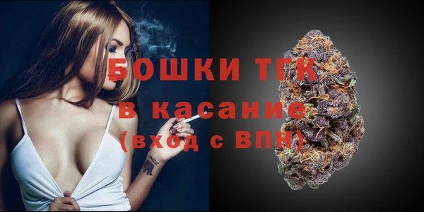 ешки Бородино