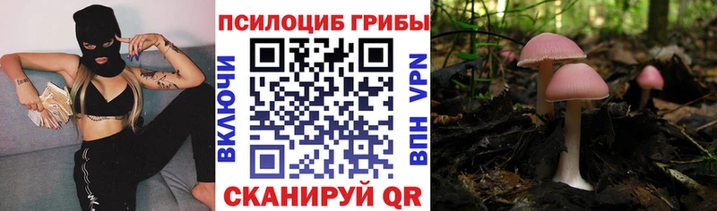Галлюциногенные грибы Cubensis  где купить наркоту  omg ONION  Вятские Поляны 