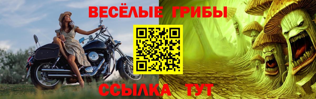Галлюциногенные грибы GOLDEN TEACHER Вятские Поляны