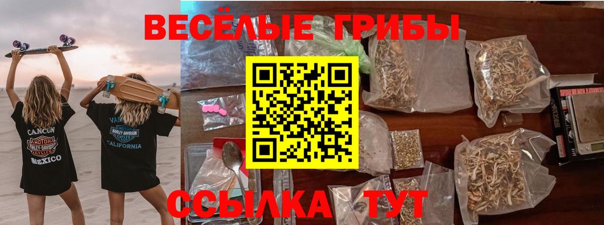 Псилоцибиновые грибы Cubensis  Вход с VPN  Вятские Поляны 