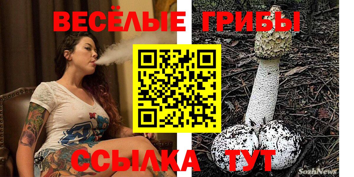 Галлюциногенные грибы мухоморы  Галлюциногенные грибы ЛСД  Вятские Поляны 