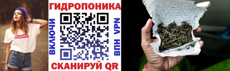 blacksprut как зайти  как найти   Вятские Поляны  Каннабис планчик 